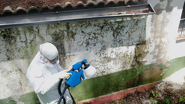 Top rated local Attic Mold Remediation specialists in Imler, PA